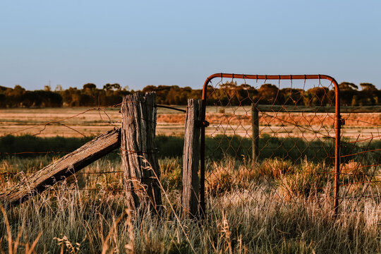 Rural country scene with rusty farm gate leading to dry paddock
