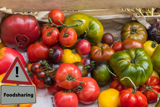 Sign Foodsharing in front of Tomatoes