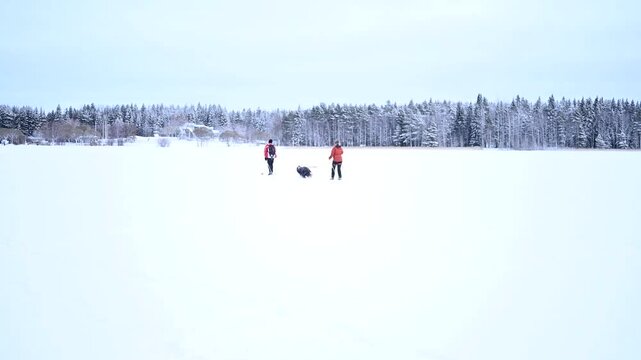 Beautiful snowfall in 4K video in nature background with branched trees around during the Winter. Cold weather. 4K copyspace.