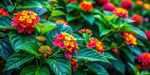 Obraz premium In a natural setting, the Brazilian filar plant displays vivid green foliage and eye-catching colorful blooms, enriching the landscape with its vibrant and lively character.