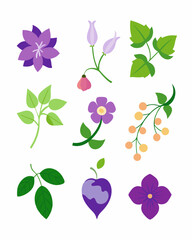 A vibrant collection of purple flowers, blooming buds, and lush green leaves, perfect for adding a touch of nature to your designs. Use these botanical elements for crafting, invitations.