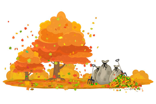 autumn trees with falling leaves and leaf bags clip art preview
