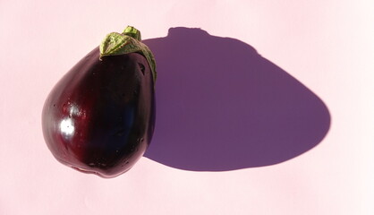 Eggplant Rests Smoothly Close View Purple Color Pink Background