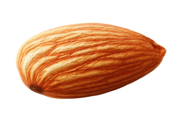 Close-up of a single almond with a textured surface on a white background.