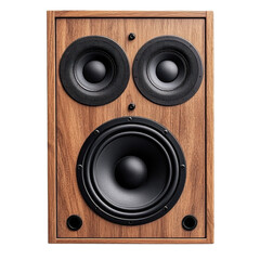 Vintage wooden speaker with dual drivers, isolated on a white background.