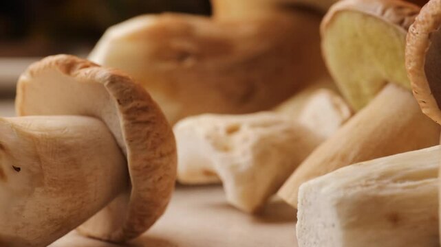 Close-up of boletus mushrooms. Picking up a boletus mushroom from the table. The process of making a porcini mushroom recipe