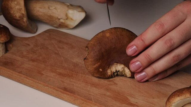 Female chef&rsquo;s hands are slicing a boletus mushroom into pieces. The process of making a porcini mushroom recipe