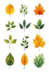 Obraz premium Forest Leaves, Seasonal Collection of Green and Yellow Foliage On Transparent Background