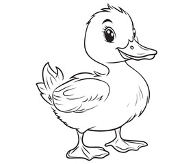 Duck and ducklings, Outline baby duck, Cute baby duck vector