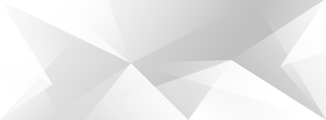 banner background,gray white gradations,diagonal,abstract busines,trendy,modern background,eps 10