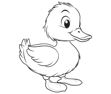 recommend clip art: Duck and ducklings, Outline baby duck, Cute baby duck vector