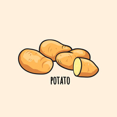 hand drawn potato in sketch style for packaging and prints. Potato doodle. Cartoon food.