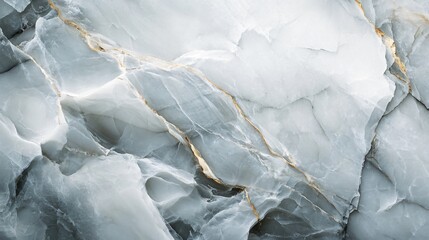 Fototapeta premium Close-up of a light gray marble with gold veins.