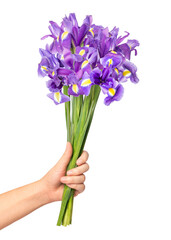 PNG purple iris, held by hand, collage element