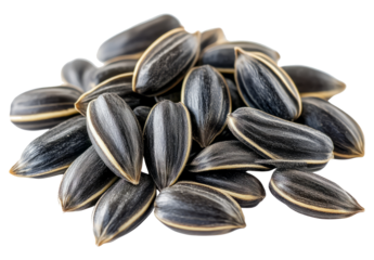 sunflower seeds isolated on white background