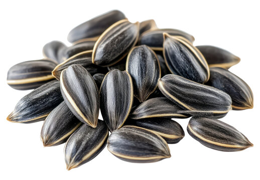 sunflower seeds isolated on white background