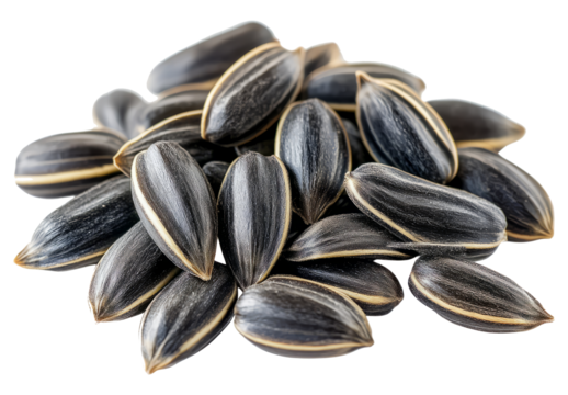 sunflower seeds isolated on white background