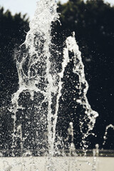 Detailed View Of A Water Fountain Splashing Upwards With A Blurred Background Of Trees, Capturing The Dynamic And Refreshing Essence Of Water.