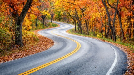 Naklejka premium Serene winding road through vibrant autumn foliage