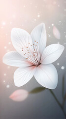 background with snowflakes and flowers