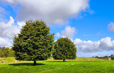 England landscape