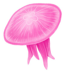 Pink jellyfish png sticker, animal illustration, transparent background