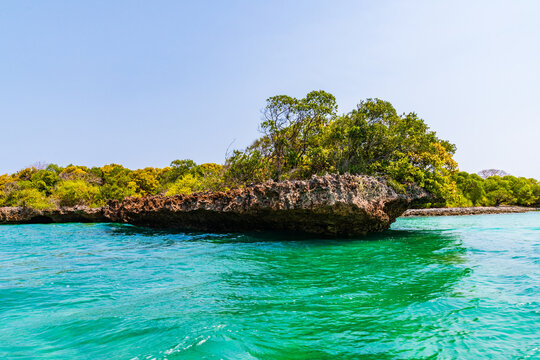 View on rocks and mangroves in the lagoon of Kwale island in south of Zanzibar, Tanzania