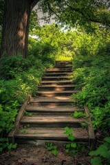 Enchanting forest stairway