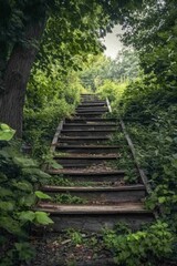 Obraz premium Mysterious wooden staircase leading through lush green forest