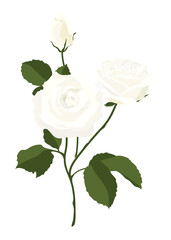 Realistic rose png sticker, white flower illustration