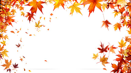 Set of multicolored autumn leaves isolated on white background