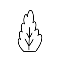 Bush isolated on a white background. Vector hand-drawn illustration in doodle style. Perfect for cards, decorations, logo, various designs.
