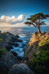 Dramatic coastal landscape with twisted pine tree