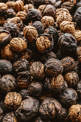 Walnüsse im Herbst mit Schale