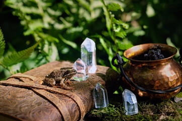 Frog on spell book, crystals and witch cauldron in forest close up, natural background. fantasy...