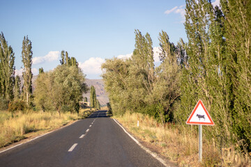 Scenic road with animal crossing sign in Erzurum, symbolizing harmony between nature and rural lif