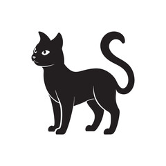 cat silhouette vector, black and white silhouette, vector and illustration