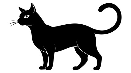 black silhouette of cat