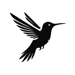 Obraz premium Hummingbird Flight