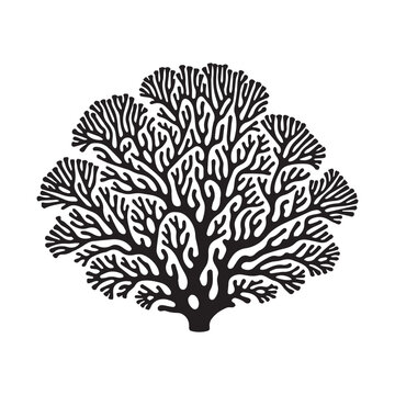 recommend clip art: Coral Reef Silhouette Design - Under The Sea Plant Vector illustration in black and white - Marine Habitat Plants Clipart