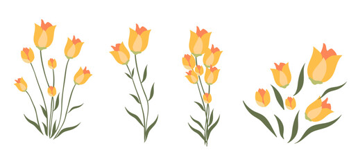 Fototapeta premium set of flowers