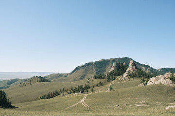 Mongolia beautiful nature green field landscape