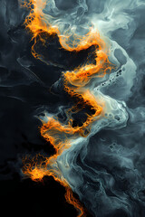 Fototapeta premium fire on black