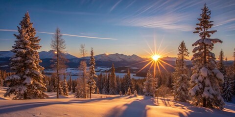 Fototapeta premium Winter sunrise casts a warm glow over a snowy landscape.