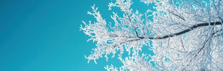 Snowy winter landscape with frozen branches
