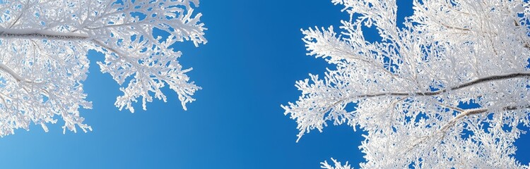 Frosty winter wonderland with snow-covered branches