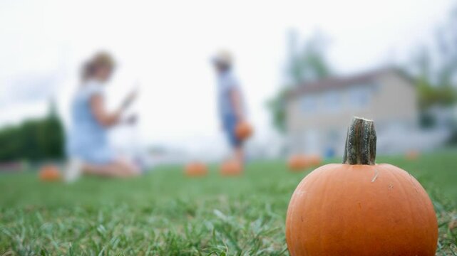 Mother taking a cell phone photo of son at fall festival