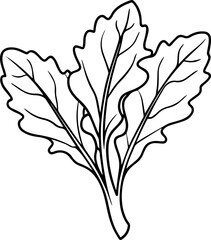 arugula leaves outline coloring book page line art vector illustration