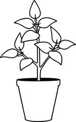 charming holy basil plant growing in stylish pot vector art for your indoor garden

