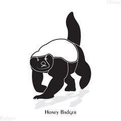Honey badger vector, HONEY BADGER LOGO, HONEY BADGER
